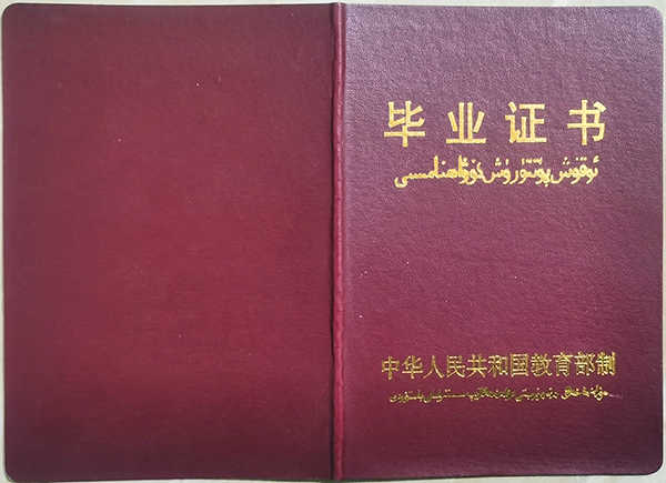 新疆成人高等教育毕业证书样本（2000年后版本）