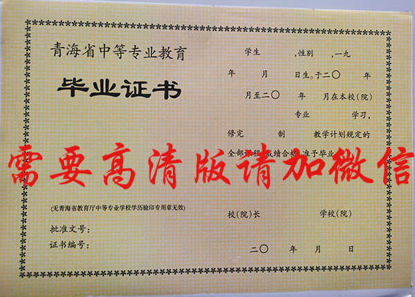 青海省2010年中专毕业证图片
